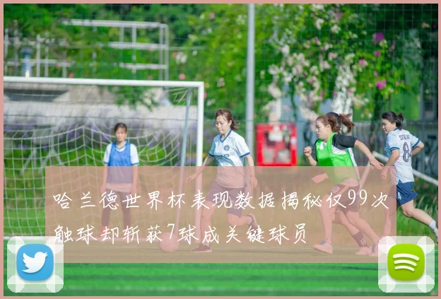 哈兰德世界杯表现数据揭秘仅99次触球却斩获7球成关键球员
